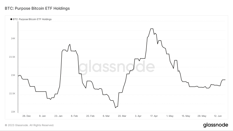 Доминирование биткоина достигло двухлетнего максимума в 50%