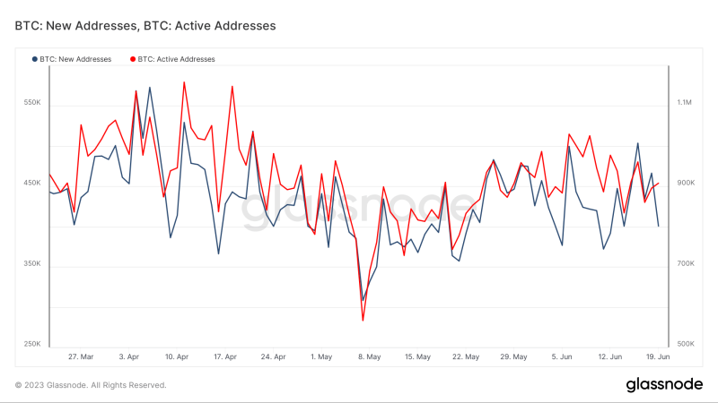 Доминирование биткоина достигло двухлетнего максимума в 50%