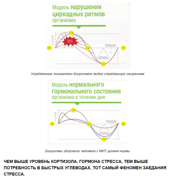 Прелендинги для нутры: что влияет на конверт и как его прокачать