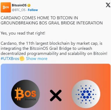 Протокол BitcoinOS запустил биткоин-мост для Cardano